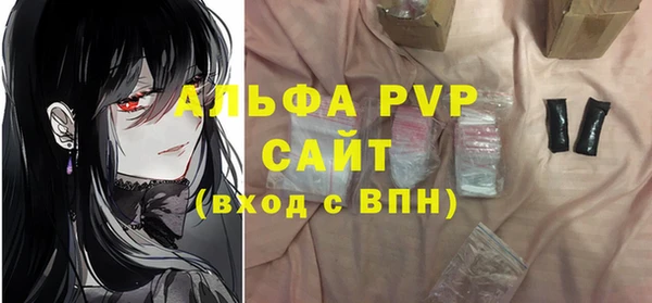 прущие грибы Нягань