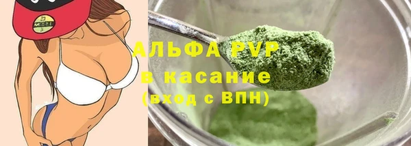 прущие грибы Няндома